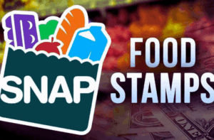 Learn How to Apply for Food Stamps Online